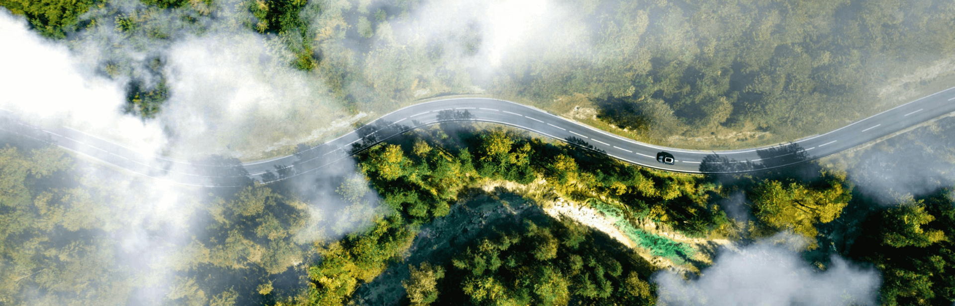 Luftaufnahme einer Straße durch einen nebligen Wald.